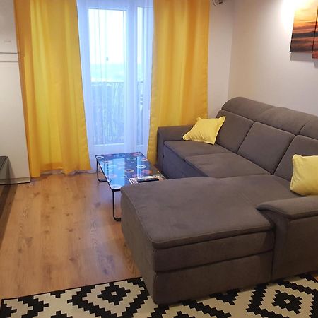 Luxury Apartment With Pool In North Bucharest Cretuleasca Екстер'єр фото