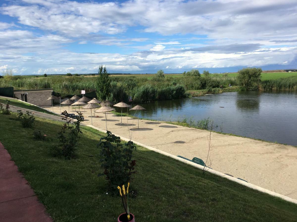 Luxury Apartment With Pool In North Bucharest Cretuleasca Екстер'єр фото