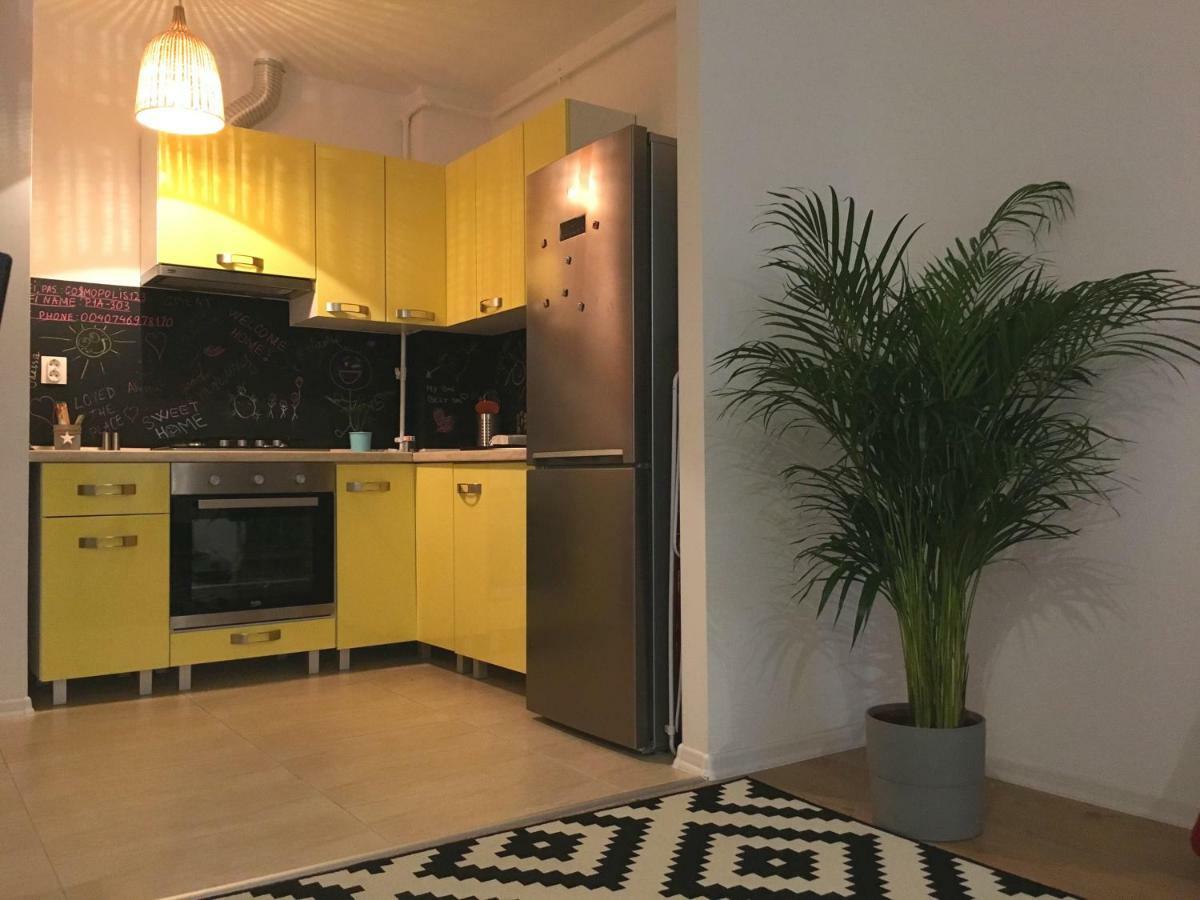 Luxury Apartment With Pool In North Bucharest Cretuleasca Екстер'єр фото