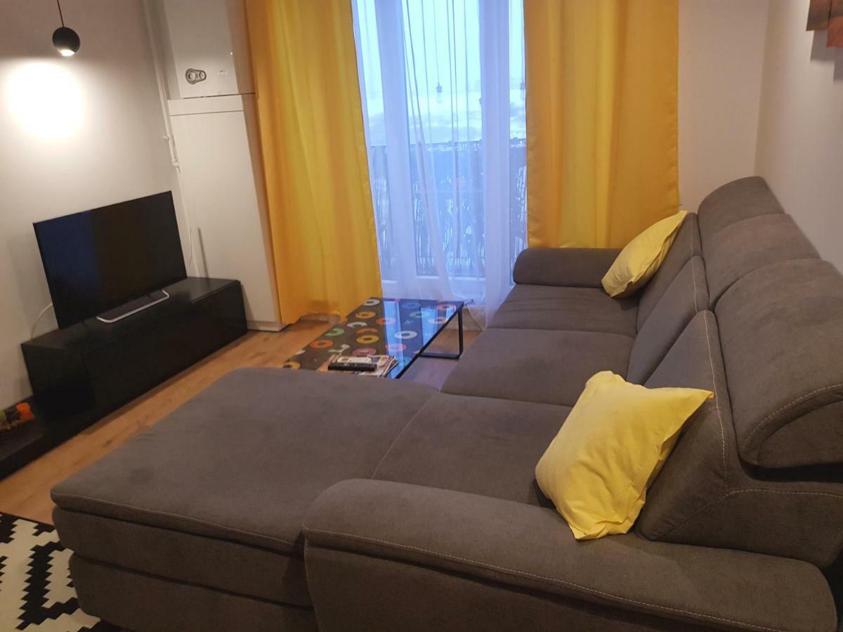 Luxury Apartment With Pool In North Bucharest Cretuleasca Екстер'єр фото